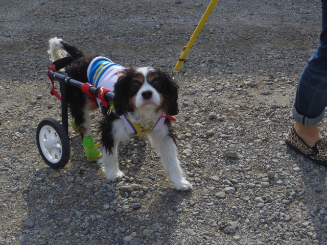 640×480-IMGP1471.jpg