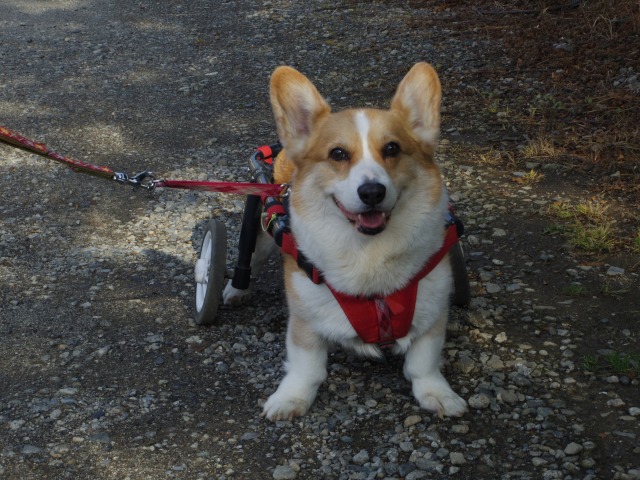 640×480-IMGP1480.jpg