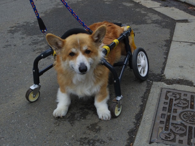 640×480-IMGP1506.jpg