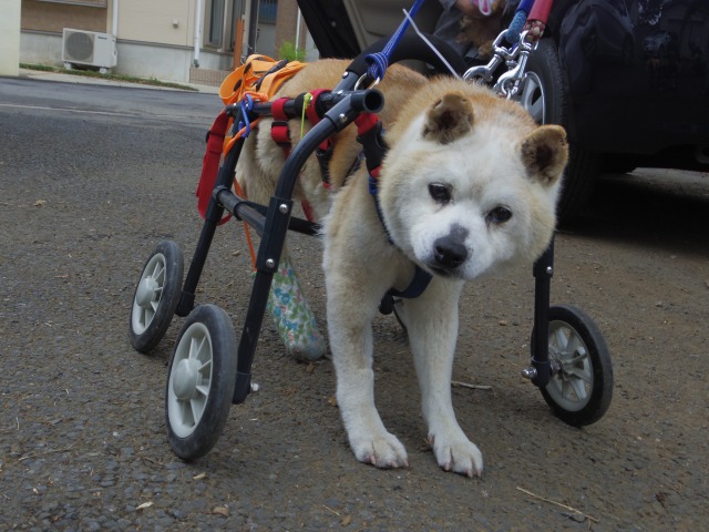 640×480-IMGP1509.jpg
