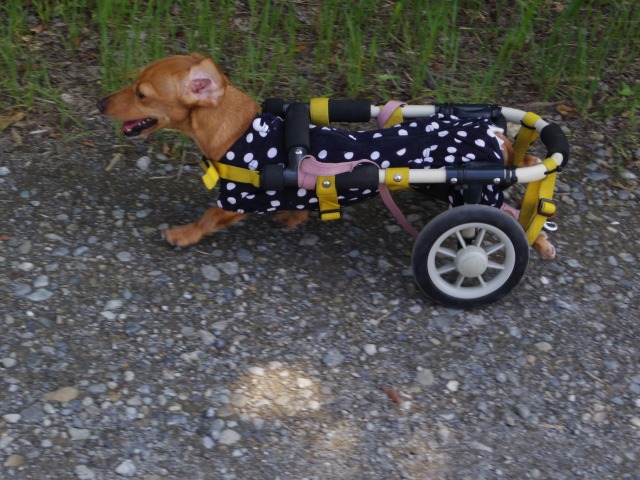640×480-IMGP1525.jpg