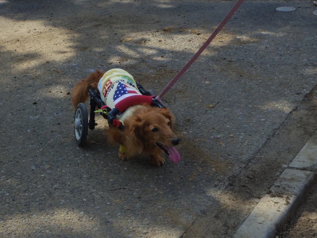 640×480-IMGP1531.jpg
