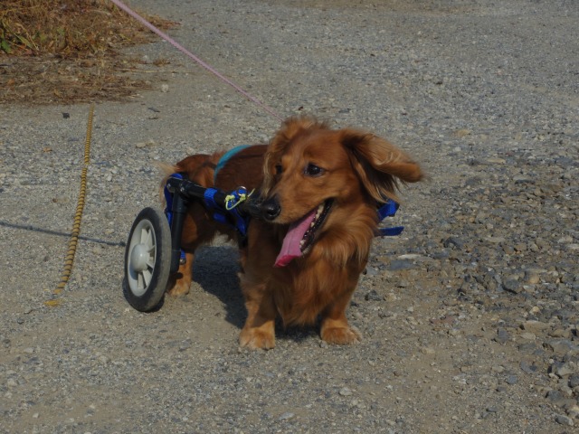 640×480-IMGP1536.jpg
