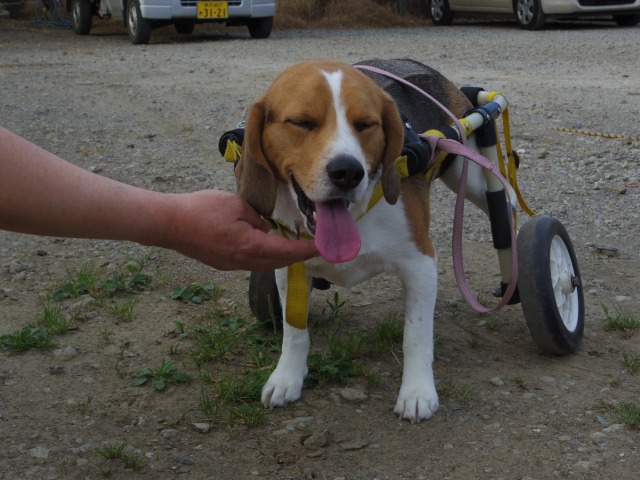 640×480-IMGP1539.jpg