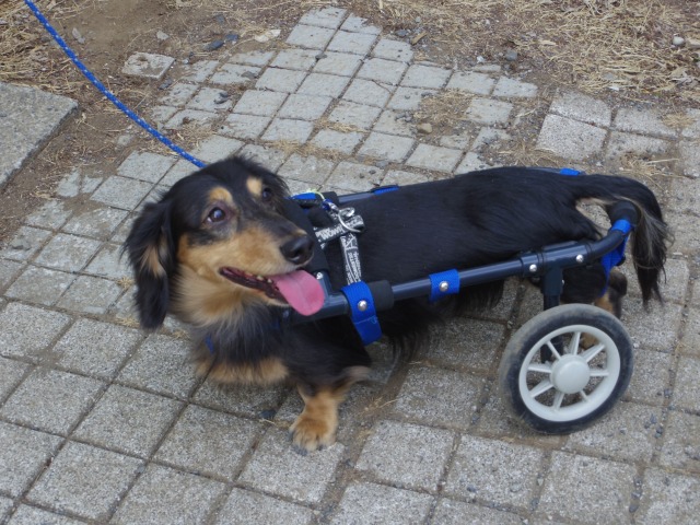 640×480-IMGP1550.jpg