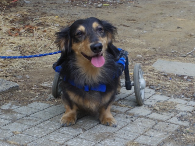 640×480-IMGP1554.jpg