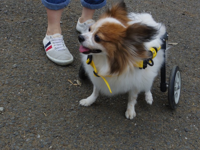 640×480-IMGP1563.jpg