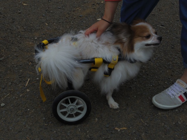 640×480-IMGP1564.jpg