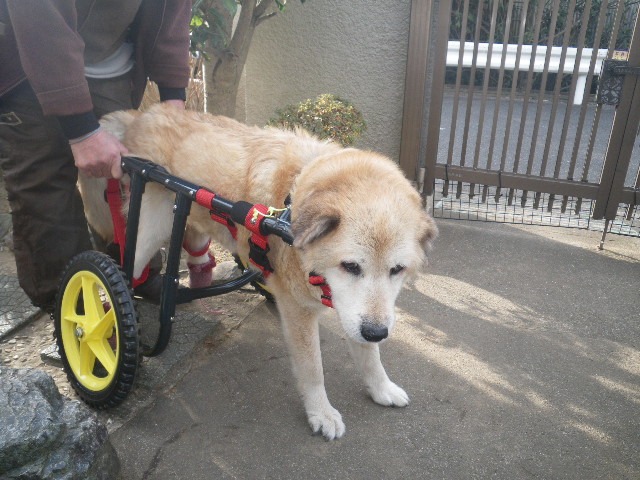 640×480-IMGP1585.jpg