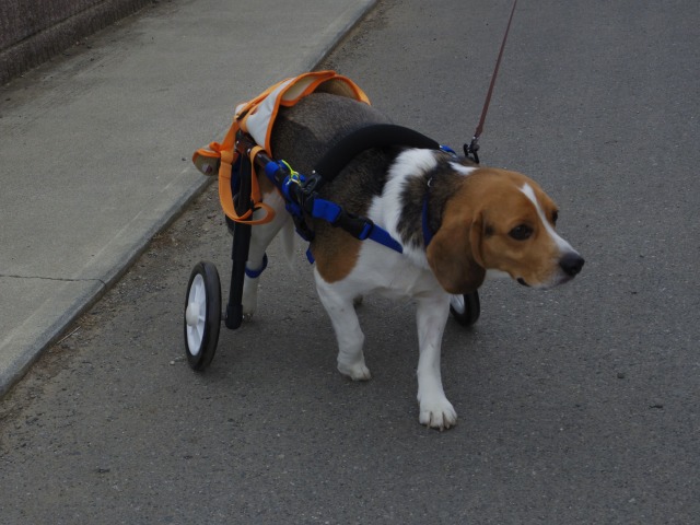 640×480-IMGP1610.jpg