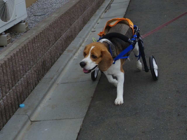 640×480-IMGP1613.jpg
