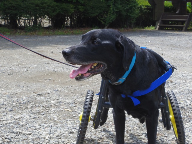 640×480-IMGP1691.jpg