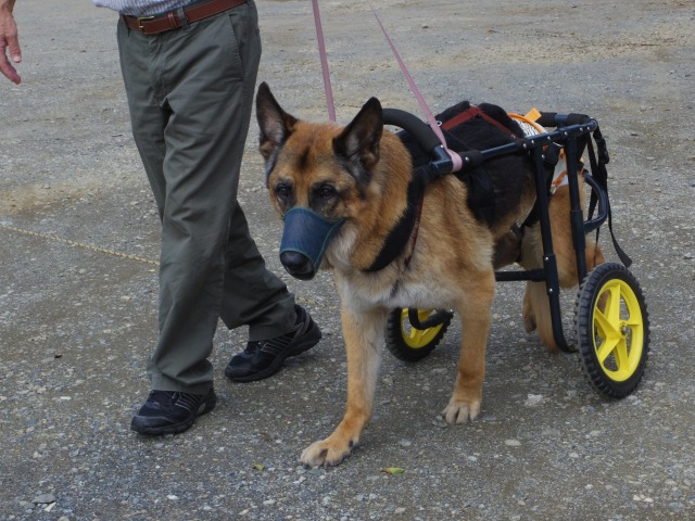 640×480-IMGP1694.jpg