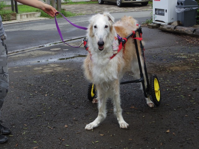 640×480-IMGP1732.jpg