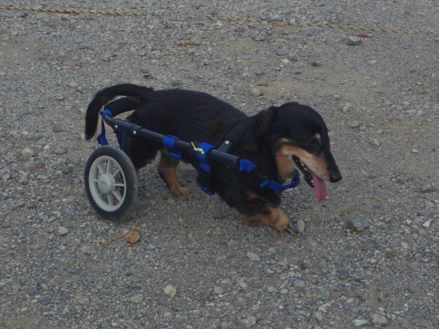 640×480-IMGP1937.jpg