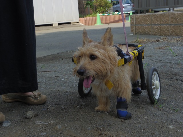 640×480-IMGP1990.jpg