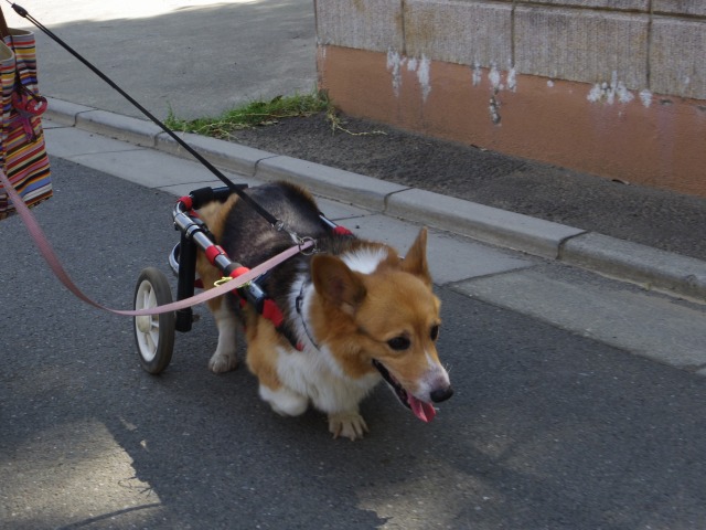 640×480-IMGP2000.jpg