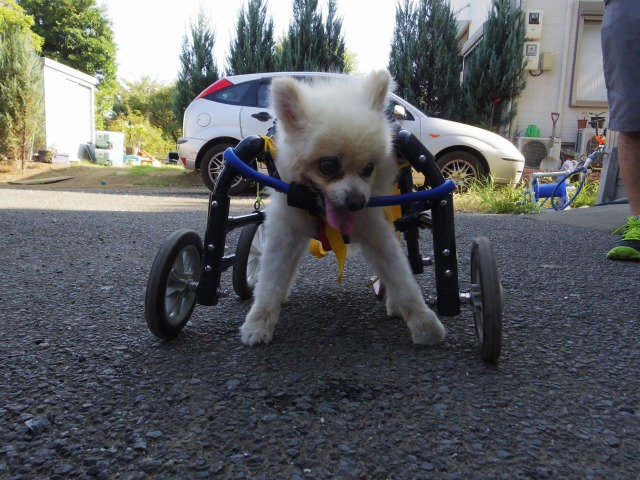 640×480-IMGP2012.jpg