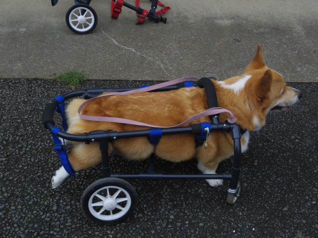 640×480-IMGP2080.jpg