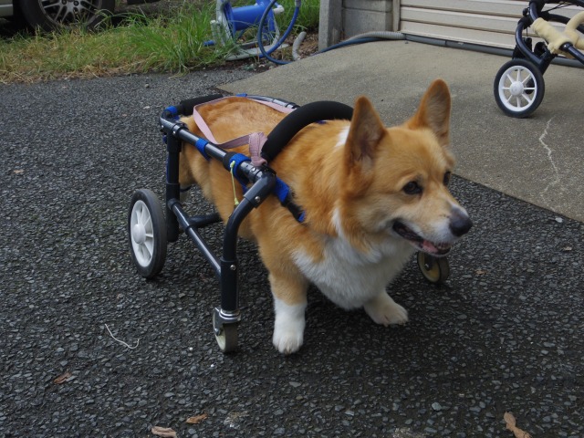 640×480-IMGP2081.jpg