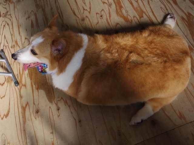 640×480-IMGP2133.jpg