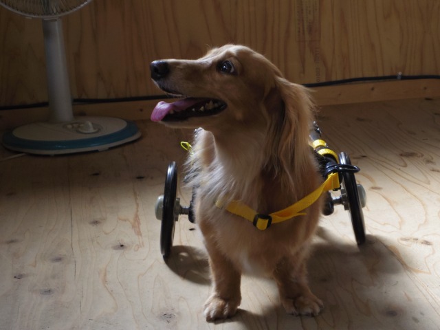 640×480-IMGP2137.jpg