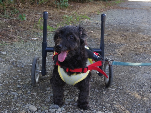 640×480-IMGP2156.jpg