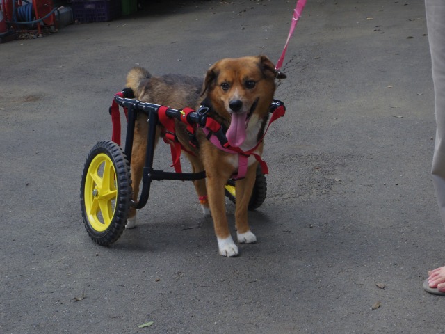 640×480-IMGP2160.jpg