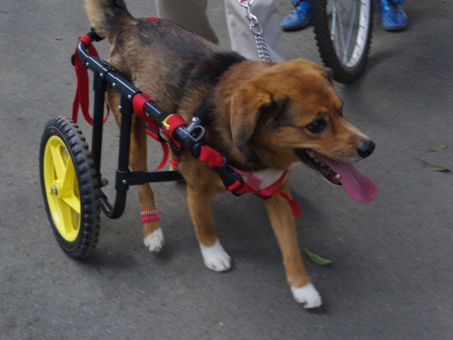 640×480-IMGP2161.jpg