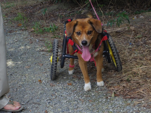 640×480-IMGP2164.jpg