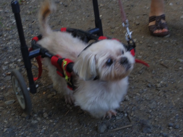 640×480-IMGP2177.jpg