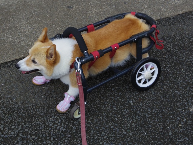 640×480-IMGP2207.jpg