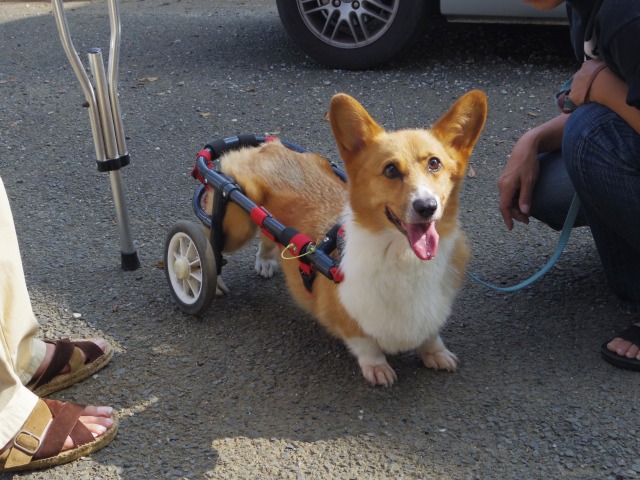 640×480-IMGP2216.jpg