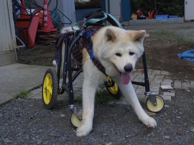 640×480-IMGP2231.jpg
