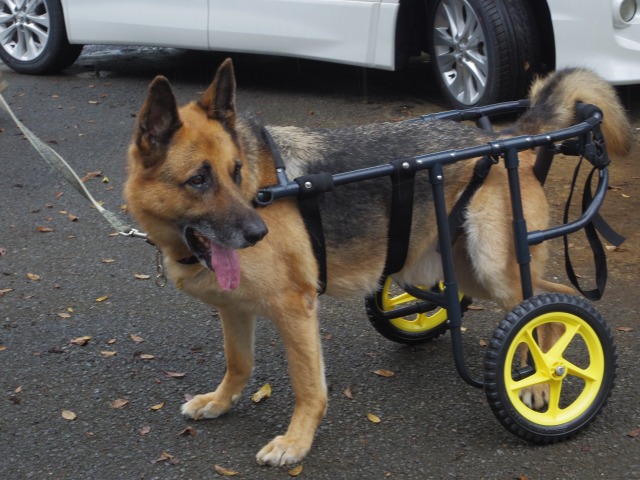 640×480-IMGP2240.jpg
