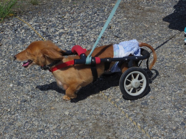 640×480-IMGP2250.jpg