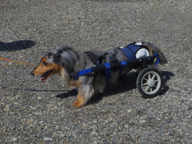640×480-IMGP2257.jpg