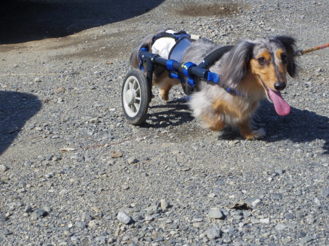 640×480-IMGP2258.jpg