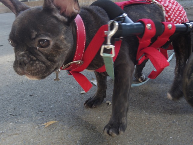 640×480-IMGP2316.jpg