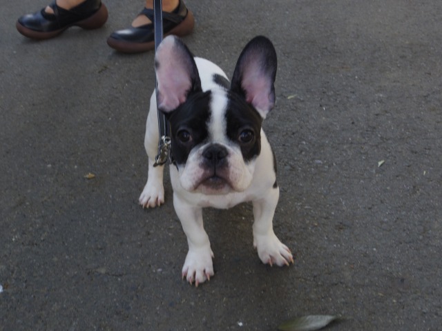 640×480-IMGP2322.jpg