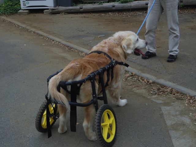 640×480-IMGP2326.jpg