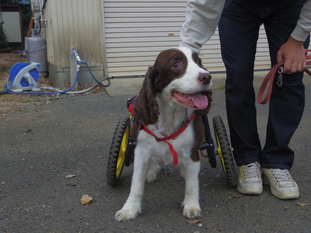 640×480-IMGP2335.jpg