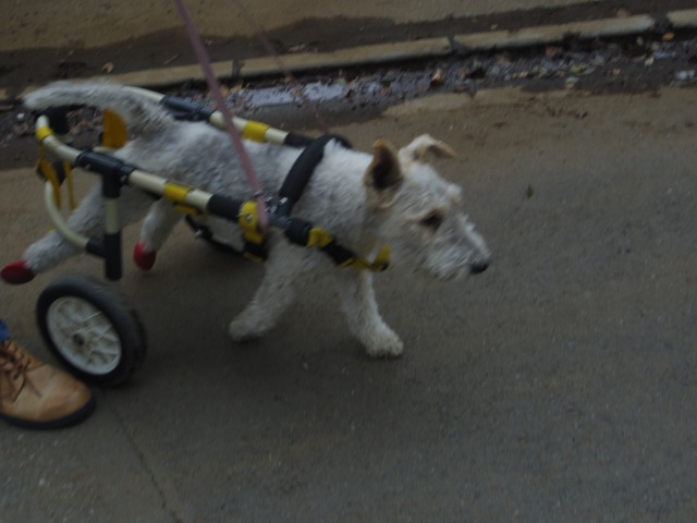640×480-IMGP2344.jpg