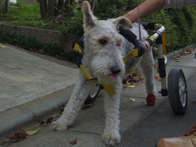 640×480-IMGP2346.jpg
