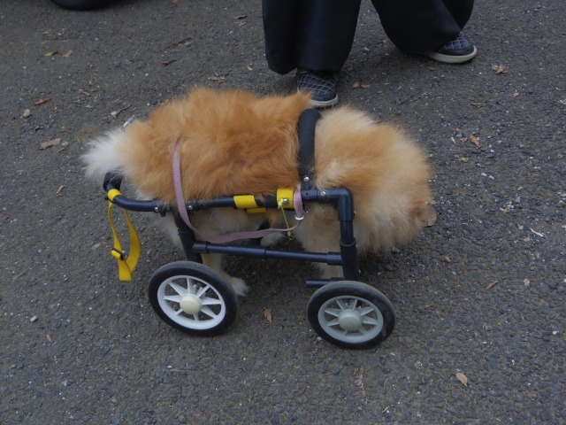 640×480-IMGP2383.jpg