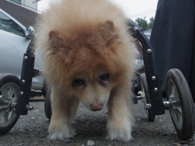 640×480-IMGP2387.jpg
