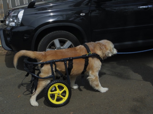 640×480-IMGP2398.jpg