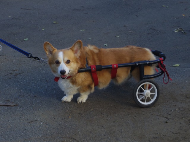 640×480-IMGP2411.jpg