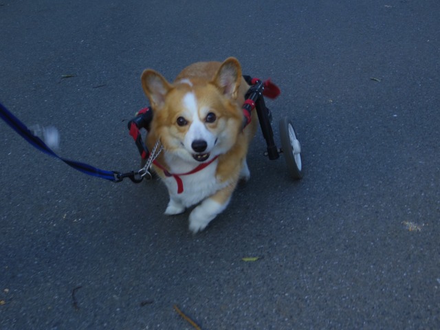 640×480-IMGP2418.jpg
