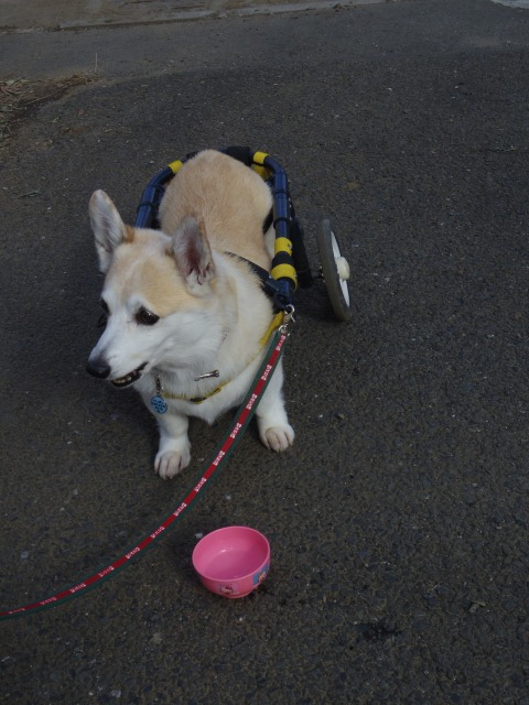 640×480-IMGP2439.jpg